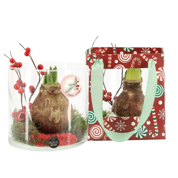 <h4>61995: X-mas arrangement</h4>