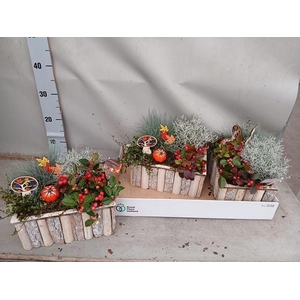 ARR TUINPLANTEN