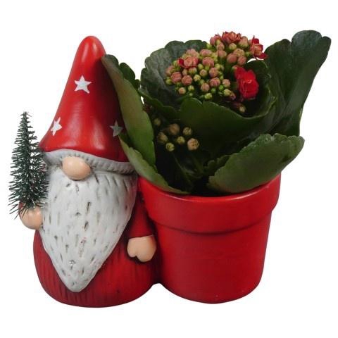 <h4>PTCHR7274 Arrangement Christmas Red in keramiek po</h4>