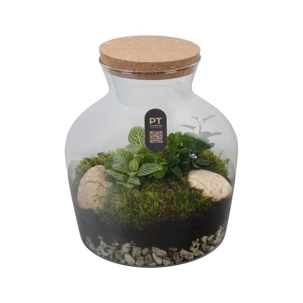<h4>PTTER8103 Arrangement terrarium in glazen terrarium</h4>