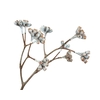 Eucalyptus Berry Aubergine