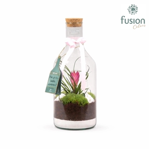 Green Bottle Fles Small met Tillandsia love