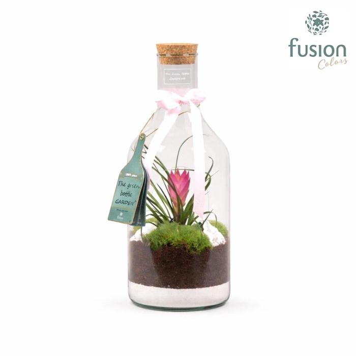 <h4>Green Bottle Fles Small met Tillandsia love</h4>