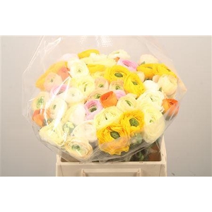 Ran.. Su Mix Extra X50