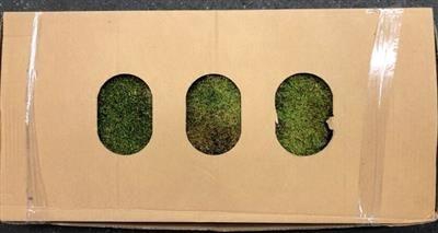 <h4>DROOG INDIAN / PLATMOS</h4>