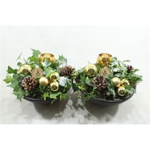 0024 GOUD EBBI HEDERA