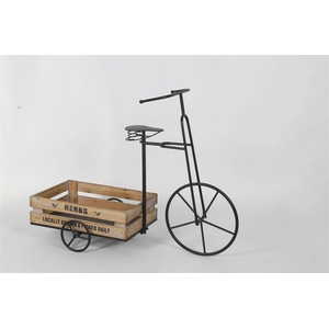 Tricycle Flower L90w37h70