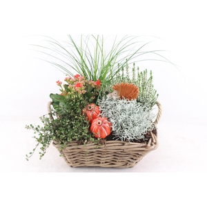 arr4 Outdoor VL - Kubu mand 4kant XL