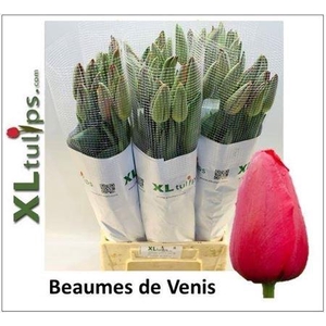 Tu Fra En Beaumes Venise