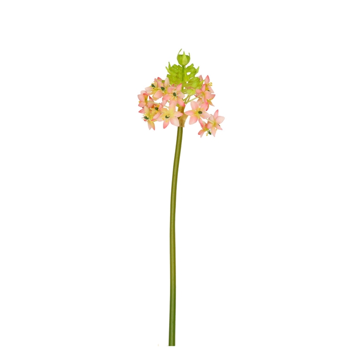 Artificial flowers Ornithogalum 81cm