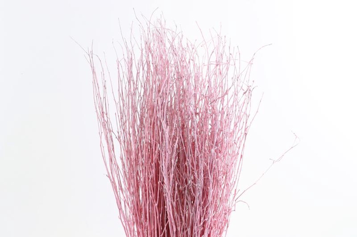 <h4>Berk Klb Pink Light</h4>