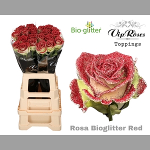 R GR BIO GLITTER RED x20
