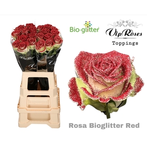 R Gr Bio Glitter Red X20