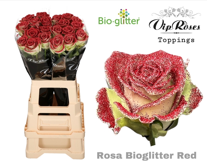 R GR BIO GLITTER RED x20