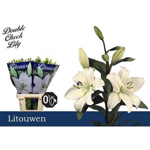 Li La Litouwen