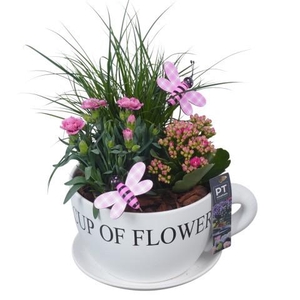 PTPP7061 Arrangement Patio in keramiek kop met schotel