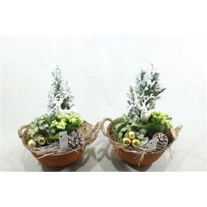 0319 Zink Roest Boompje