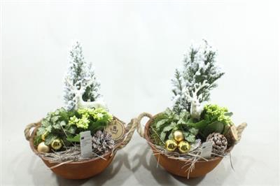 <h4>0319 ZINK ROEST BOOMPJE</h4>