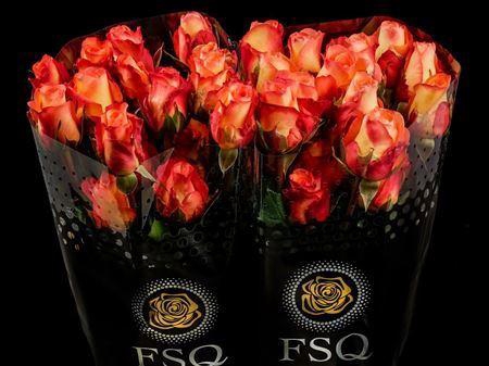 <h4>R Gr Encanto</h4>