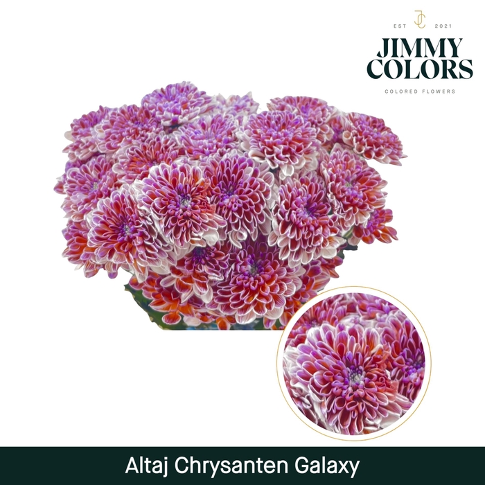 <h4>Chr T Altaj Galaxy</h4>