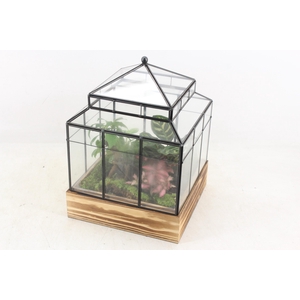 arr3 WR - Terrarium Wardian case one