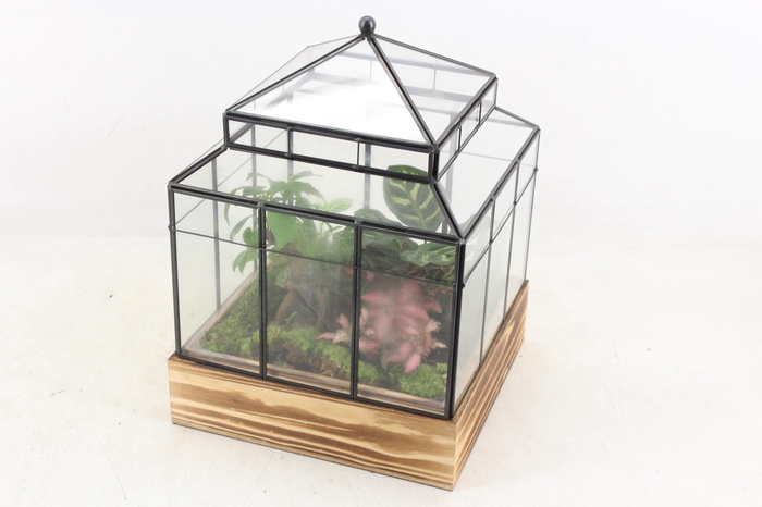 <h4>arr3 WR - Terrarium Wardian case one</h4>
