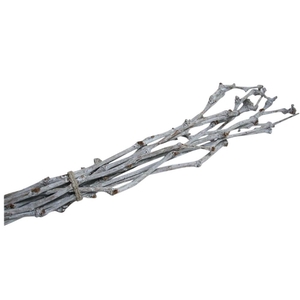 Dried articles Grape Twijg 60cm x10