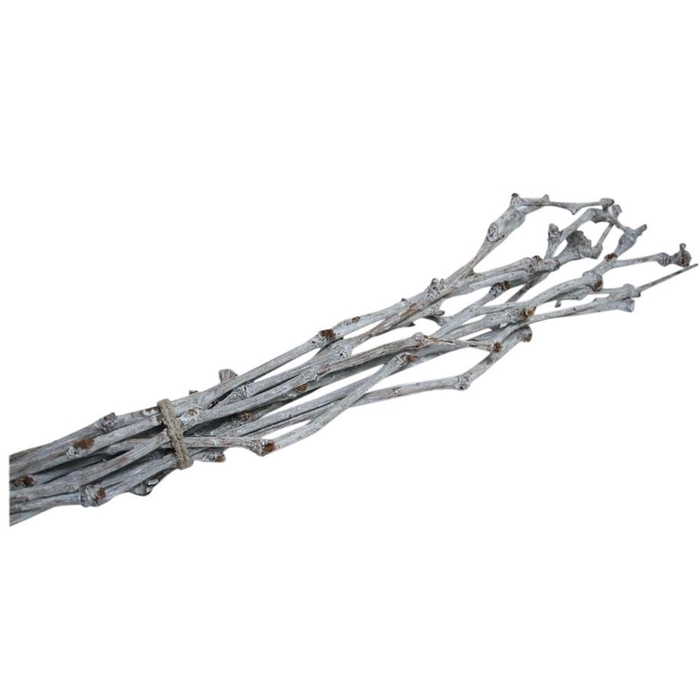 <h4>Droogdeco Grape Twijg 60cm x10</h4>