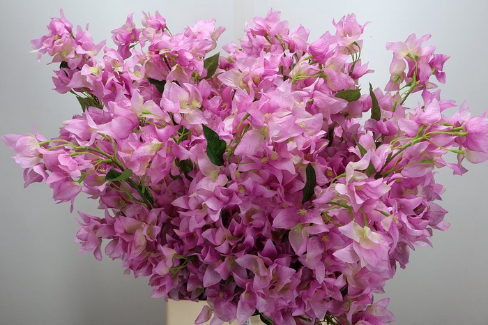 <h4>Deco Stem Bougainvillea Lilac X5 L104</h4>