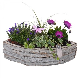 PTPP7025 Arrangement Patio in houten boot