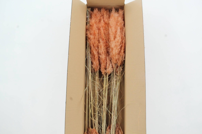 <h4>DF Pampas 115cm Copper/Brown</h4>