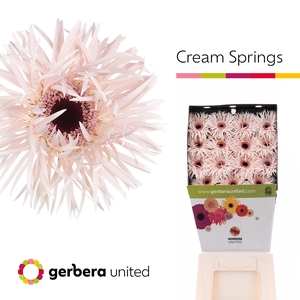 Ge Gr Cream Springs