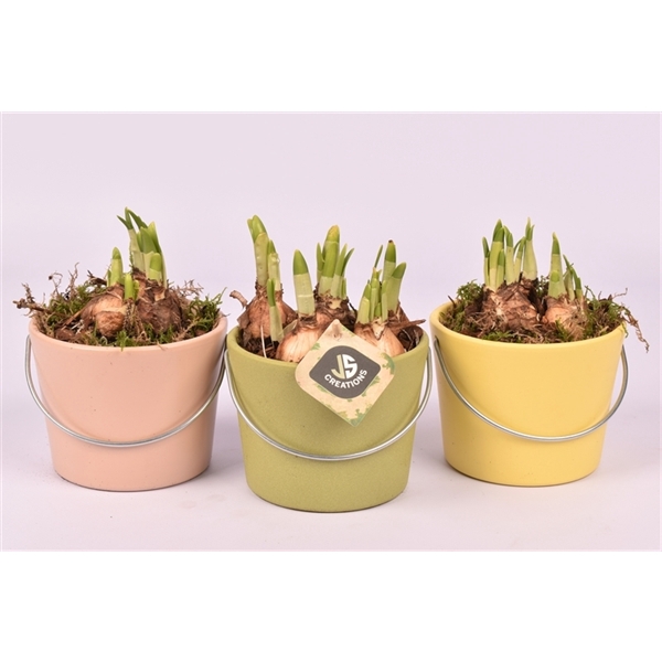 <h4>Keramiek Bamboo Matte 12cm Keramiek Citrus Matte 12cm Keramiek Rose Blossom Matt</h4>