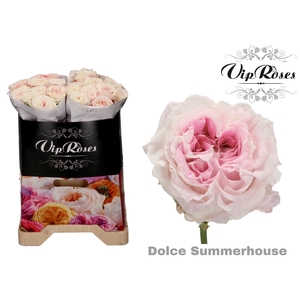 R GR DOLCE SUMMERHOUSE