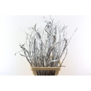 Salix Sekka Bandwilg Kbh Silver
