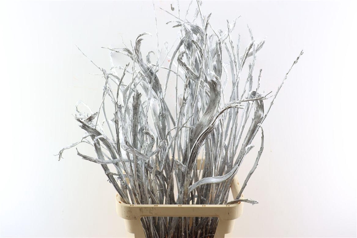 <h4>Salix Sekka Bandwilg Kbh Silver</h4>