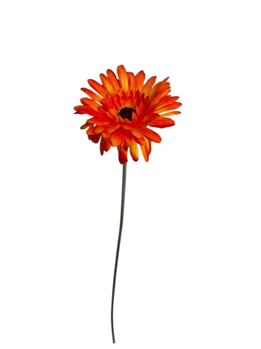 <h4>AF Gerbera L58cm Orange</h4>