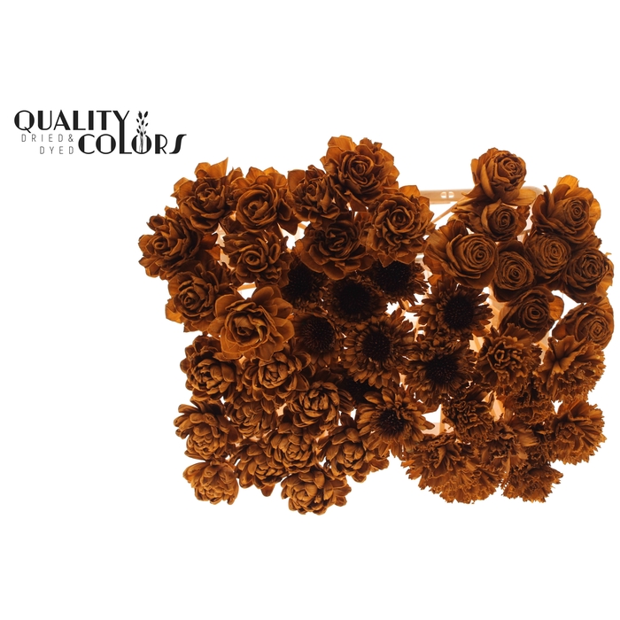 <h4>Shola Flower Mix on stem Terracotta</h4>
