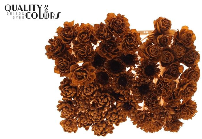 Shola Flower Mix on stem Terracotta