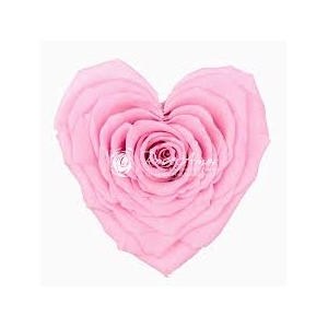 PRESERVED ROSES HEART XXL PIN-04