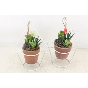 arr3 AD - Zink Terravyn