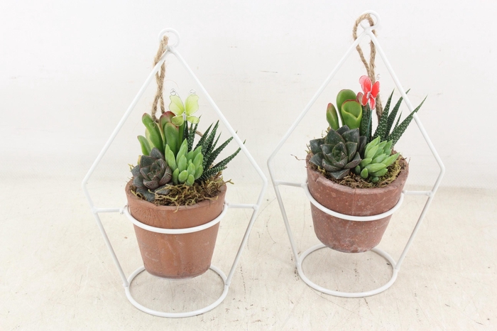 <h4>arr3 AD - Zink Terravyn</h4>