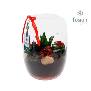 Green Bottle Isabella XLarge Love met arrangement