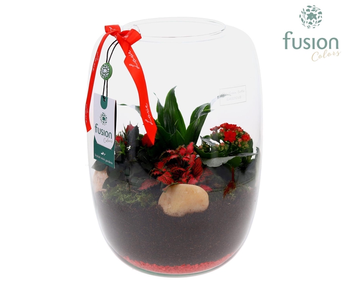 <h4>Green Bottle Isabella XLarge Love met arrangement</h4>