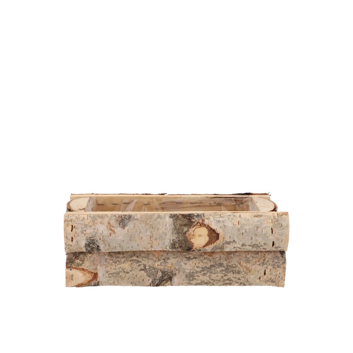 <h4>Nature Birch Rectangle 24x12x10cm</h4>