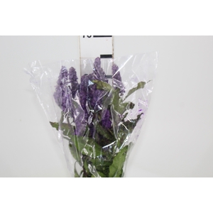 CAMARAO LILAS 050 CM
