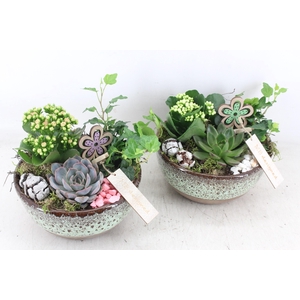 arr2 MB - Ker. schaal sandy 285/5 - roze/wit