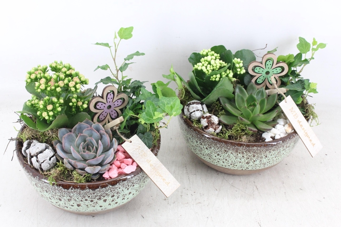 <h4>arr2 MB - Ker. schaal sandy 285/5 - roze/wit</h4>