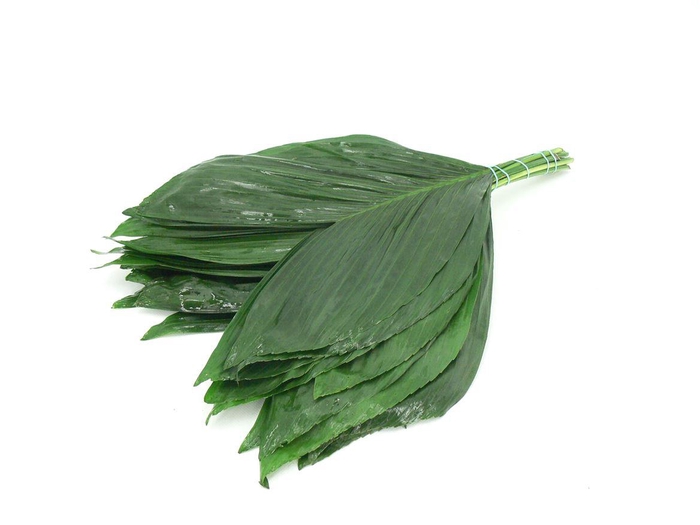 <h4>Cocos Large 60</h4>