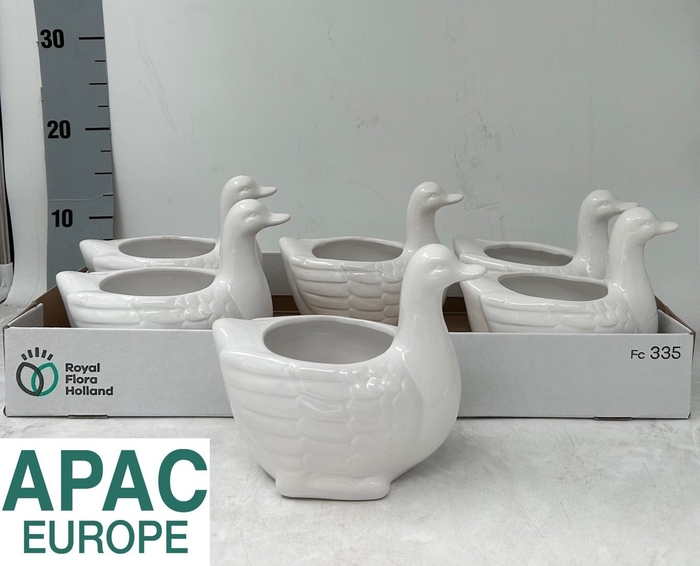 <h4>KERAMISCHE POT H%</h4>
